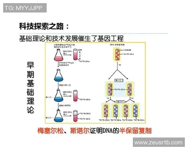 篮球运动的魅力与发展趋势探索：从基础技术到全球化影响的全面分析
